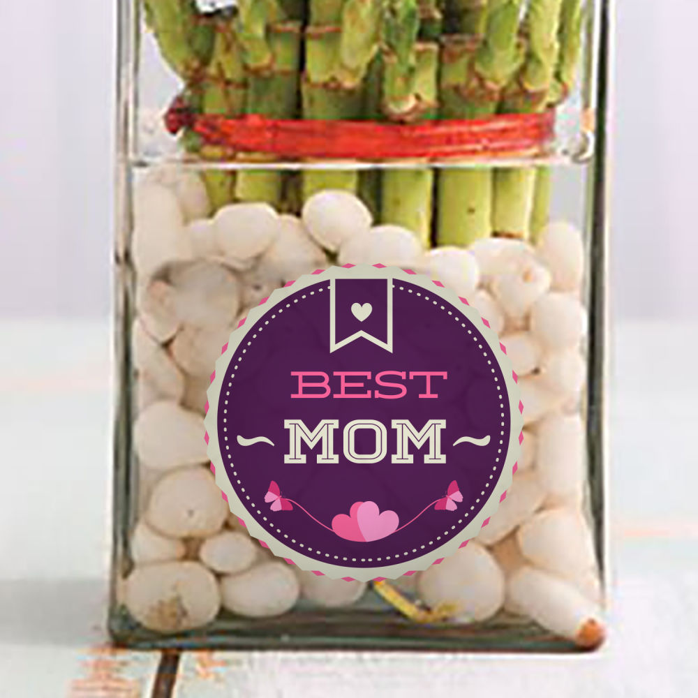 Best Mom Plant Gift Winni