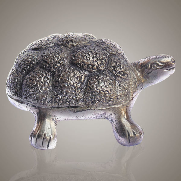 White Metal Unique Tortoise | Winni