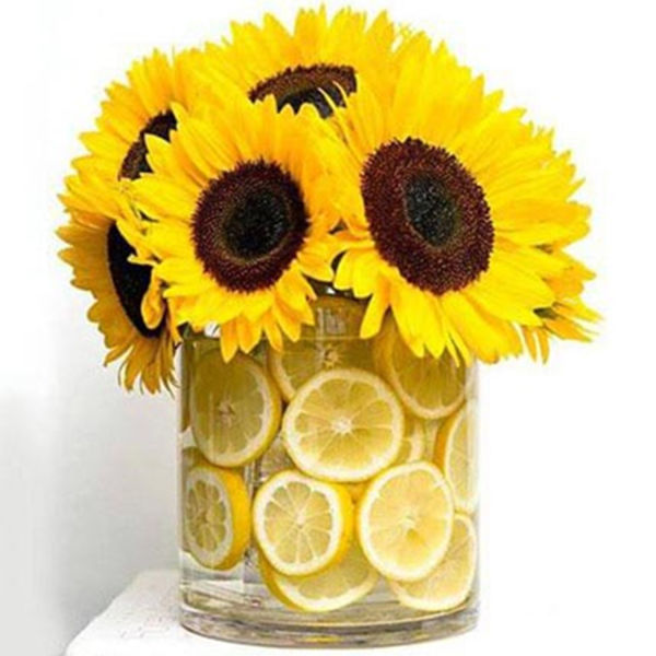 Buy Shining Sunflowers