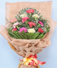 valentine carnation flowers