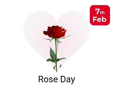 valentine rose day