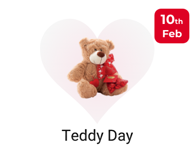valentine teddy day