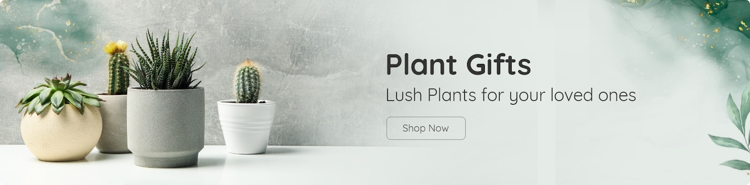 plant gifts