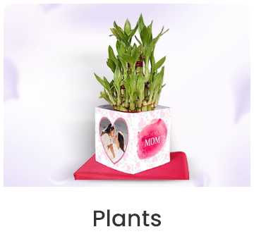 plant-card
