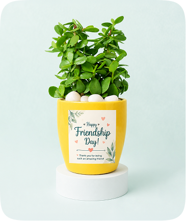 plants