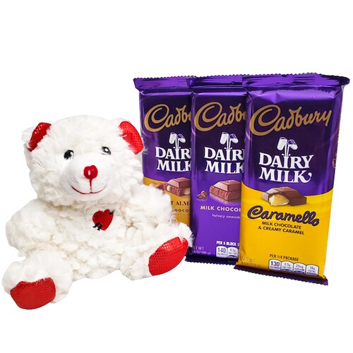 Buy Teddy and Dairy