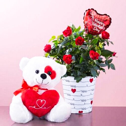 Buy Valentine Rose Package