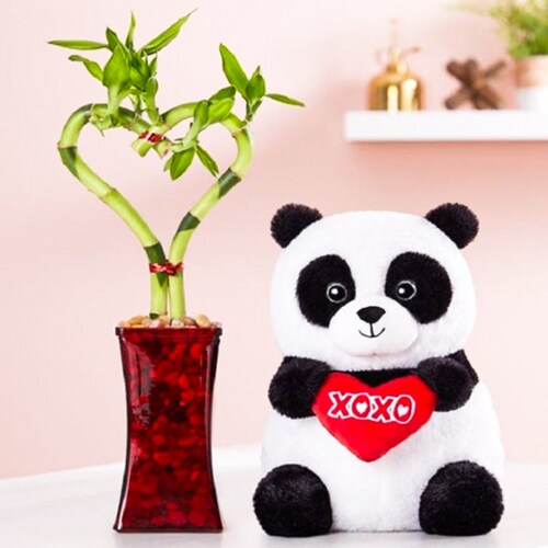 Buy XOXO Panda Bamboo