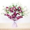 Buy Mesmerizing Lovely Orchid