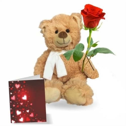 Buy Teddy Rose and Card