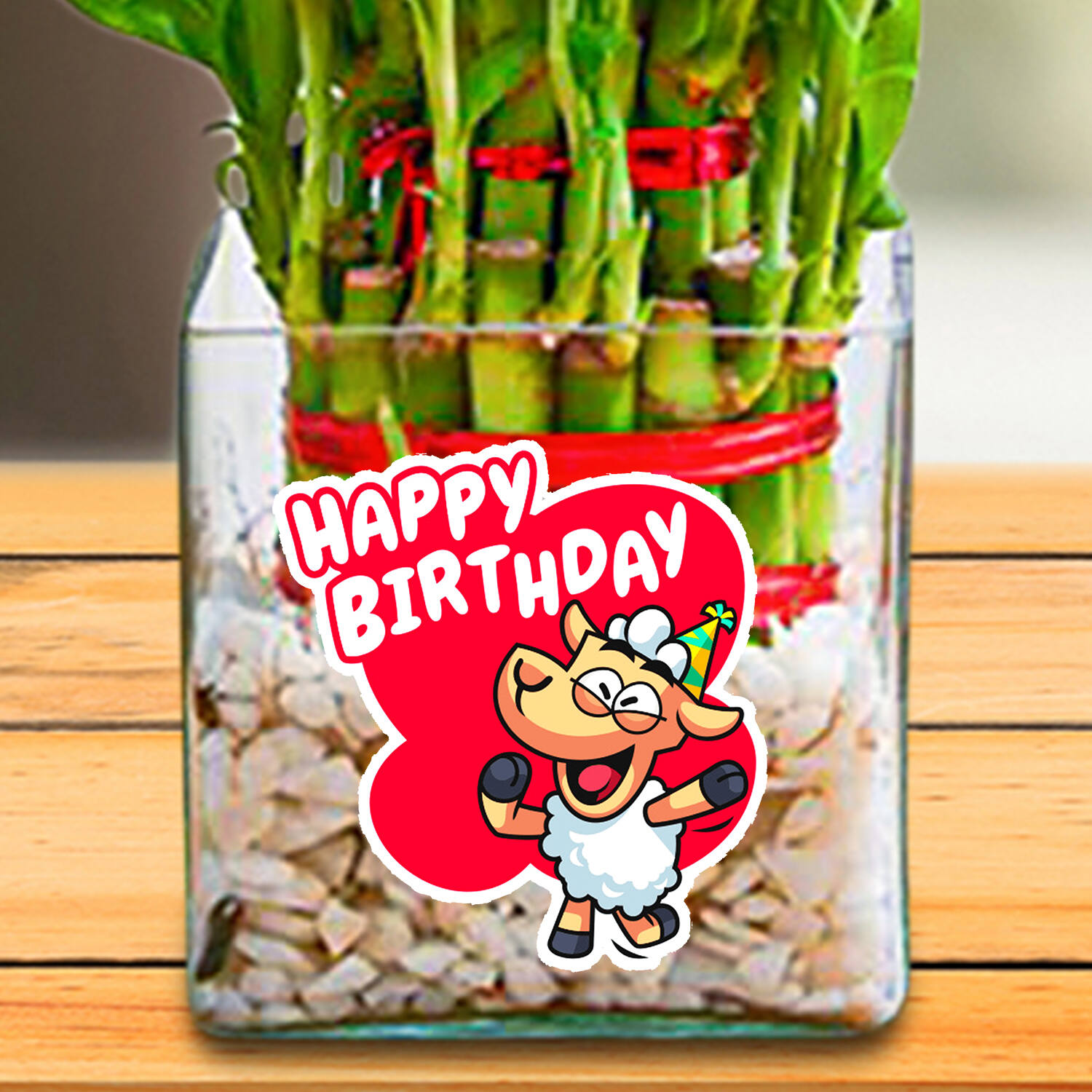 Amazon.com : Grow Shawty It's Your Birthday - Greeting Card - Plant Lover -  Meaningful Gift Cards - Potted Plant Lover Gift Card - Happy Birthday Card  : Office Products