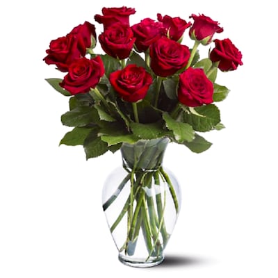Breathtaking Long Stemmed Roses