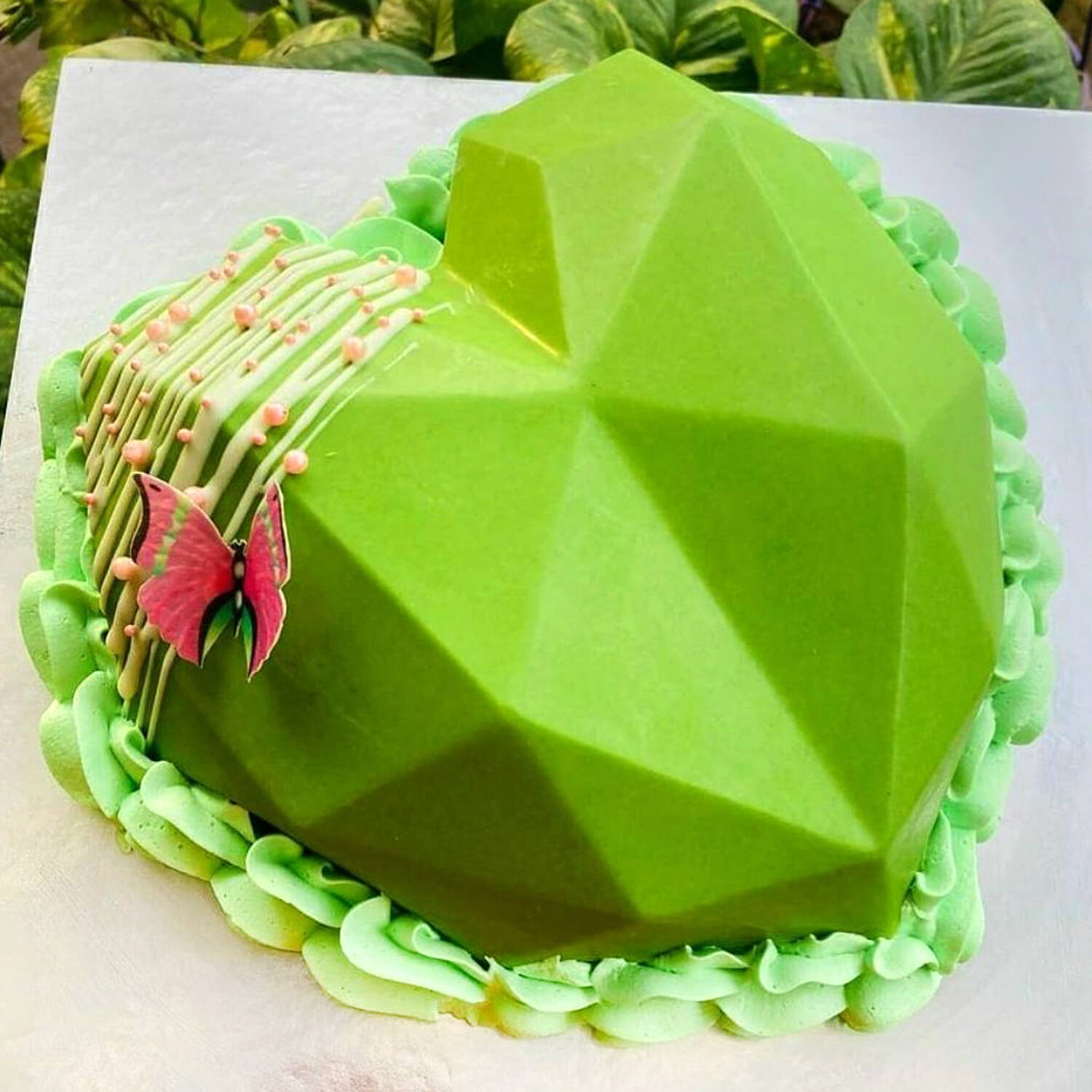 Kiwi Fruit Cake | Online delivery | Swiss Bakers | Nagercoil - bestgift.in