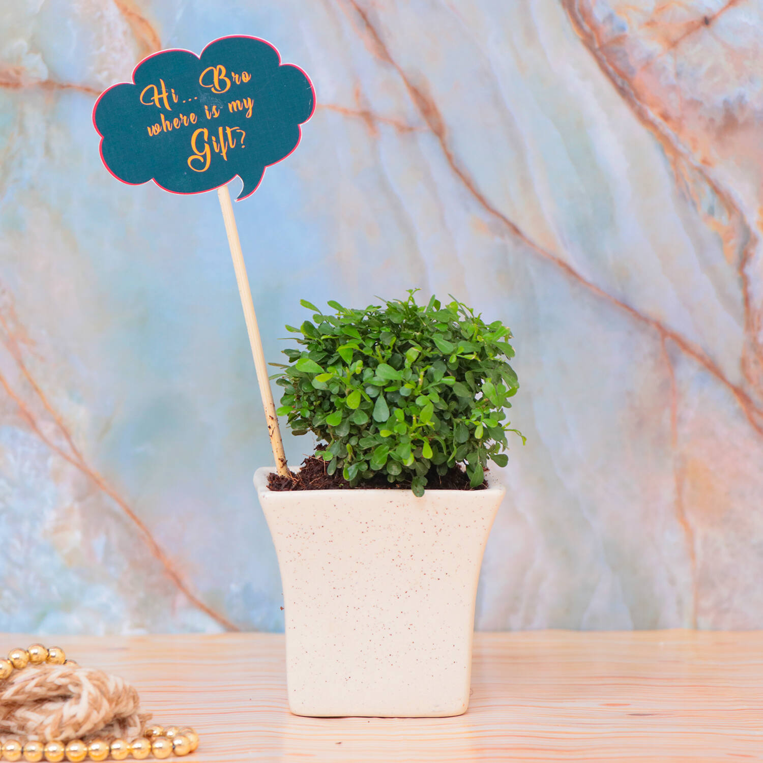 7 Last-Minute Mother's Day Gardening Gift Ideas - The Home Depot