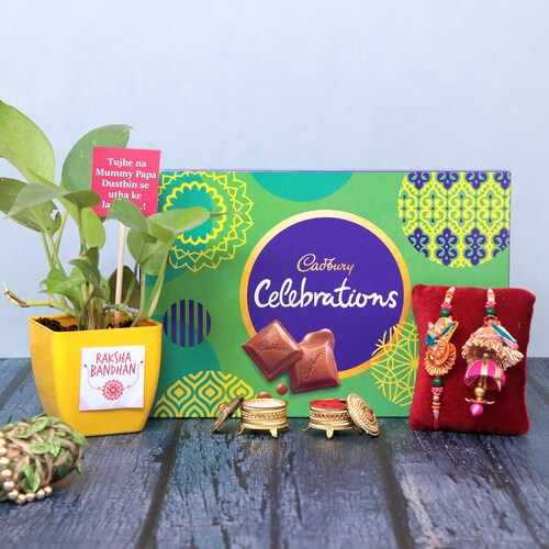 Buy Cadbury Celebration With Plant Rakhi Combo