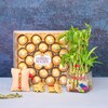Buy Big Ferrero Box With Bamboo Plant Rakhi Hamper