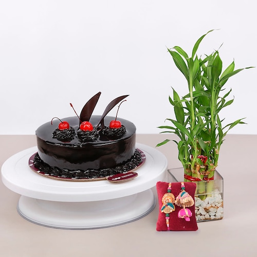 Buy Duo Rakhis Bamboo Plant N Choco Cake