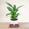 Buy Lumba Rakhi With Appealing Peace Lily Plant