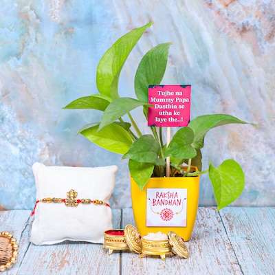 Rakhi With Natures Blessing Combo