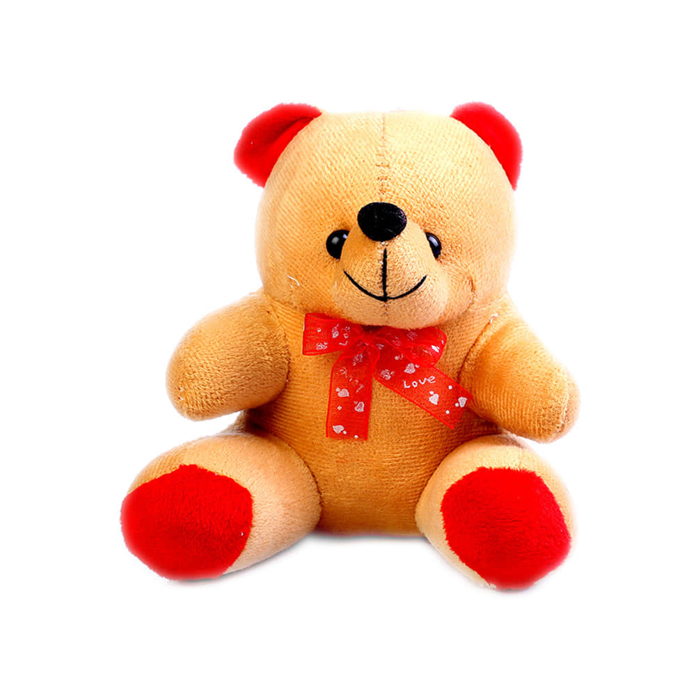 teddy medium size
