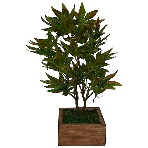 Buy Artificial Plant Maple Bonsai
