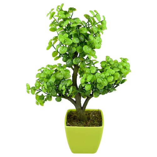Buy Artificial Bonsai Tree