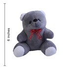 Small Grey Teddy Bear