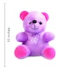 Buy Medium size Purple Teddy Bear