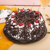 Buy Choco Black Forest Cake