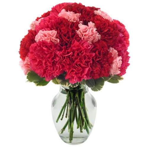 Buy Carnation Bouquet