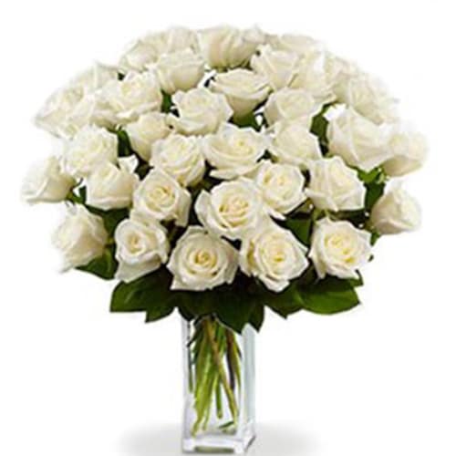Buy Alluring Bouquet Of 36 White Roses