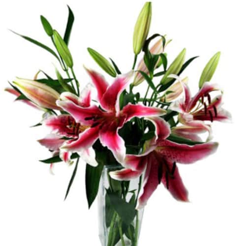 Buy Oriental Lilies Bouquet