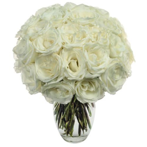 Buy 24 White roses
