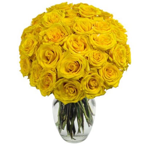 Buy 24 yellow Roses