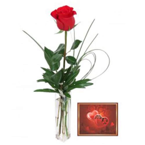Buy Red Rose and Card