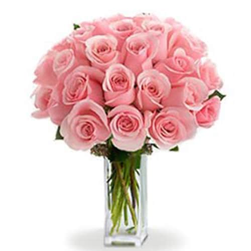 Buy Two dozen Pink Roses