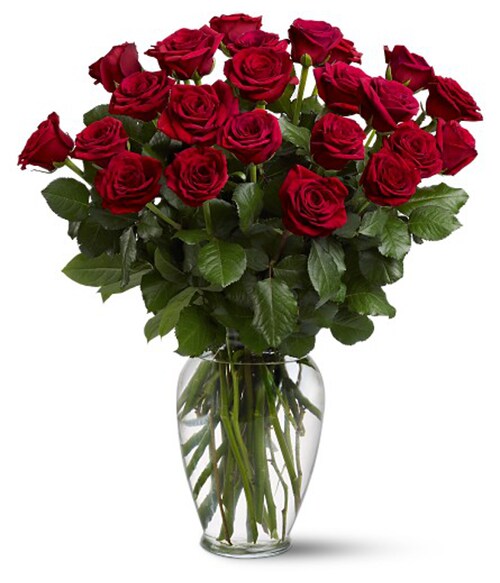 Buy Two Dozen Red roses