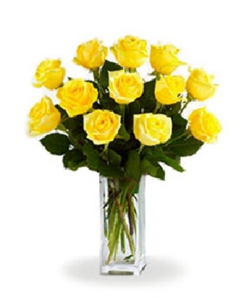 Buy Dozen Yellow roses