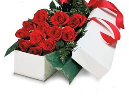 Buy Red Roses In Box