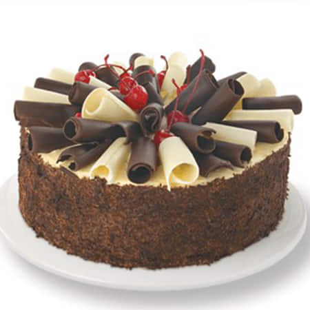Chocolate Sponge Cake | Winni.in