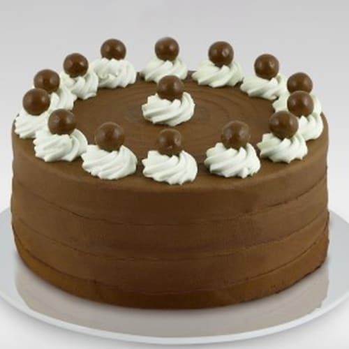 Buy Chocolate Cake Mini