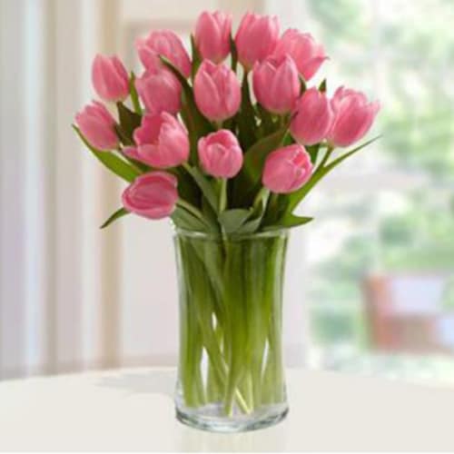 Buy 20 Pink Tulips