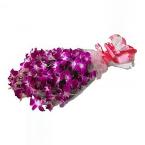 Buy Fresh Purple Orchids