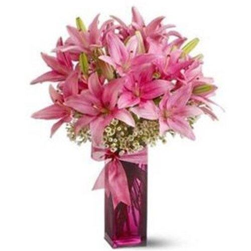 Buy Pink Asiatic Lilies Bunch