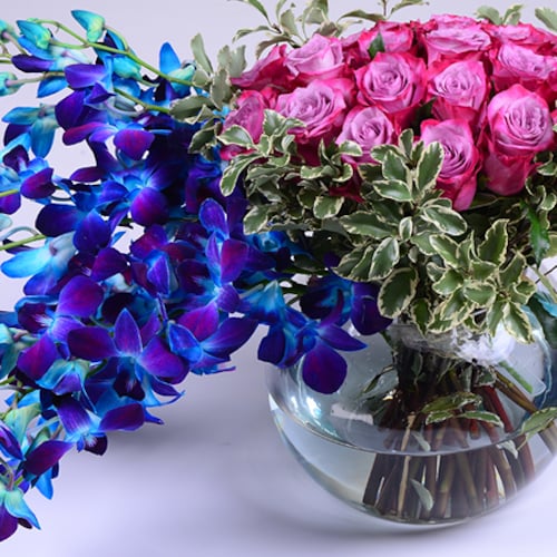 Buy Blue Orchids and Pink Roses