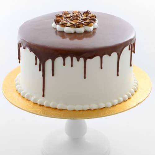 Buy Chocolate Large Cake