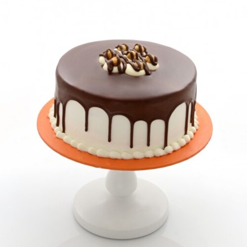 Buy Chocolate Cake Midi