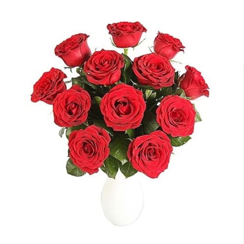 Buy Lovely Red Roses
