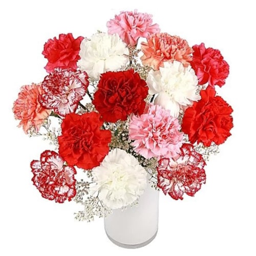 Buy Glowing Carnations