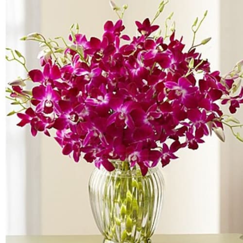 Buy Purple Orchids Arrangement